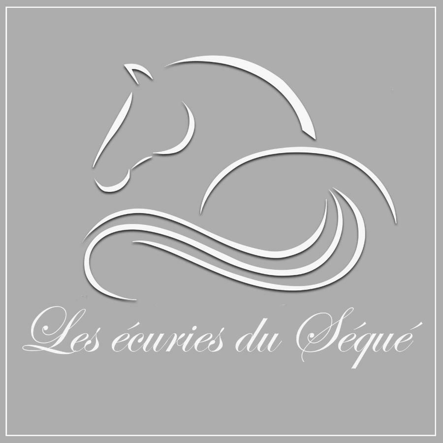 Les Ecuries Du Seque Panzió Saint-Martin-de-Seignanx Kültér fotó